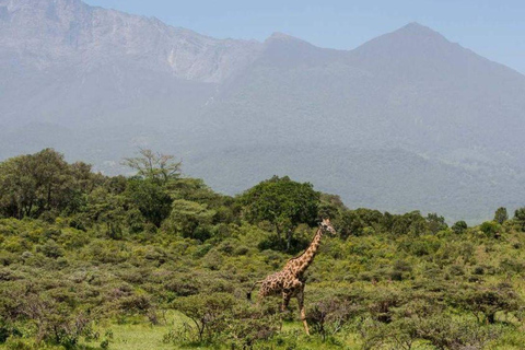 3天2夜徒步之旅 - 梅鲁山登山3天2晚徒步之旅——梅鲁山徒步