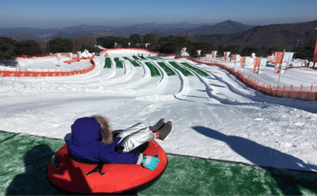 Seoul: Vivaldi Park SnowyLand Shuttle