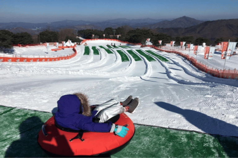 Seúl: SnowyLand en el Parque Vivaldi con Nami o AlpacaExcursión en grupo con Mundo Alpaca desde la Estación DDP