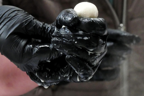 Hamburg: Mozzarella course with accompanying wines