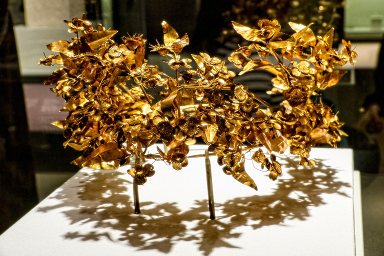 From Thessaloniki: Private Tour to Vergina Royal Tombs