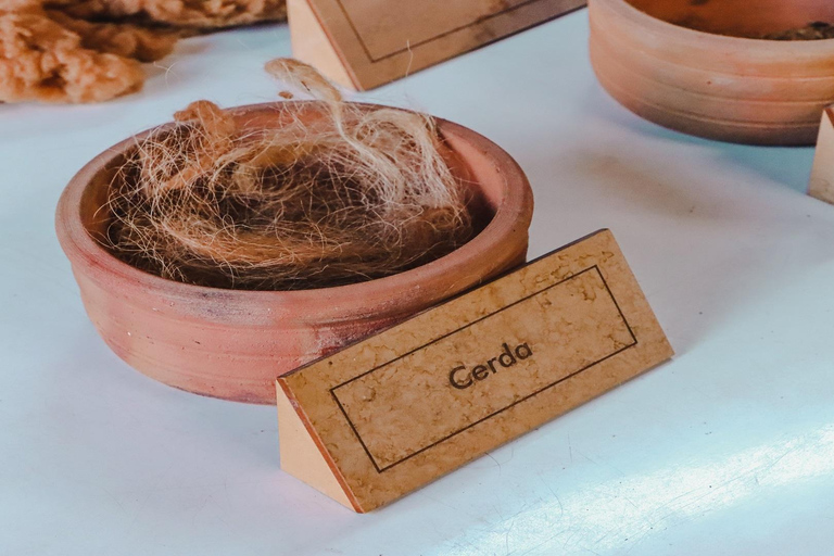 Arequipa: Walking City Tour and Juanita Mummy Arequipa: Walking City Tour and Juanita Mummy (PM)