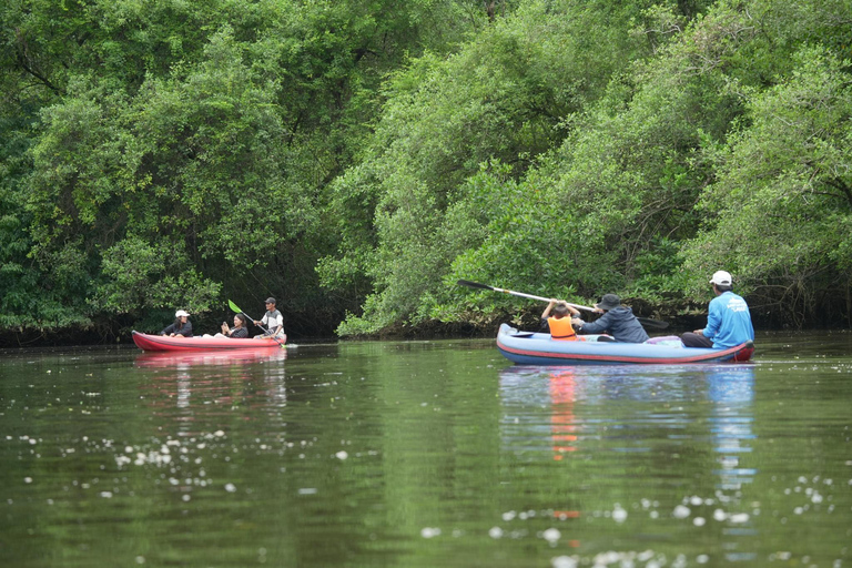 Khaolak: Little Amazon and Wat Khongkha Phimuk (Half Day)