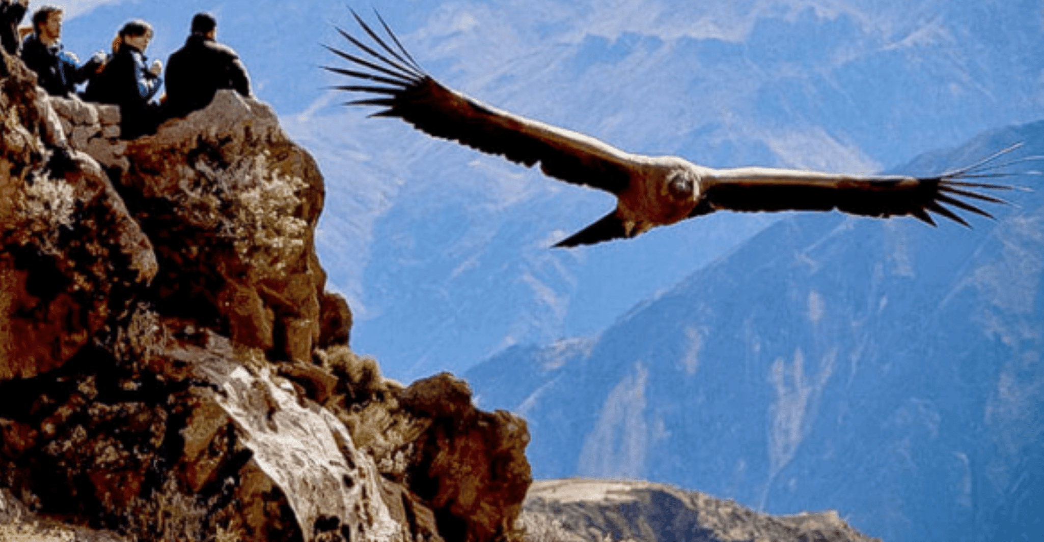 Flight of the condor in Colca 2 days 1 night - Housity