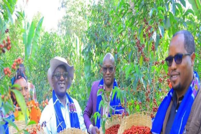 3-Day Coffee Farm & Local Culture Experience in Yirgalem