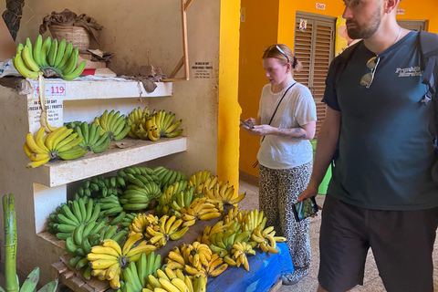 Entebbe: City Guided Walking Tour, Gardens & Uganda Rolex