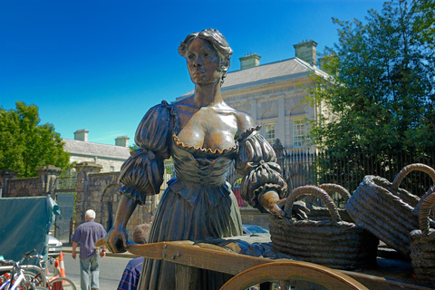 Dublin : visite du Livre de Kells, du château de Dublin et de l'église du ChristTour en anglais