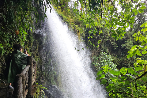 Las Maravillas del Volcán Poás y los Jardines de la Cascada de La Paz