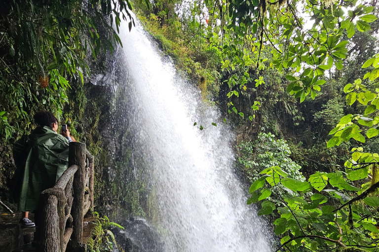 Les merveilles du volcan Poas et les jardins des cascades de La Paz