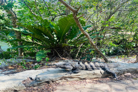 Cancún: Excursión a Chichén Itzá y Valladolid