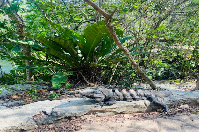 Cancún: Excursión a Chichén Itzá y Valladolid