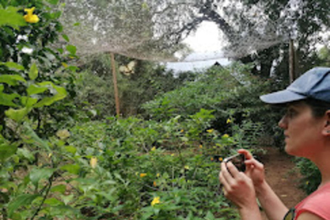 Zanzibar: Jozani forest, Butterfly & Tortoise sanctuary tour Tour with Hotel pickup & drop-off included