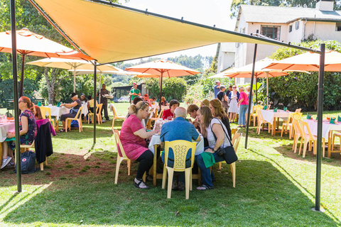 Excursão a uma fazenda de chá saindo de Nairóbi (Kiambethu)