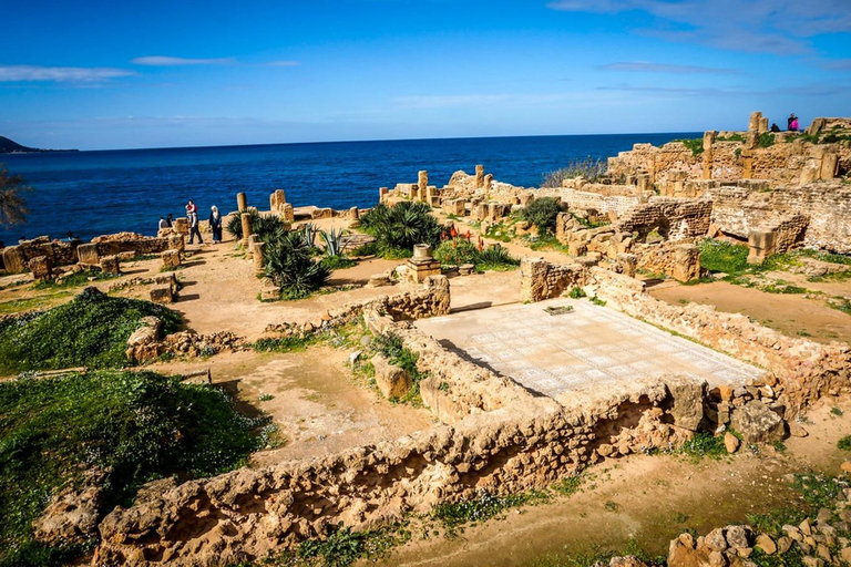 Tipaza and Cherchell Tour with Pickup & Local Fish Lunch
