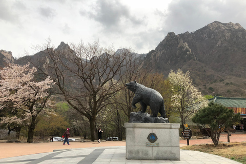 Seoul: Mt.Seorak and Cherry Blossom Lake 1 day trip Departing from Hongik Univ.St.Exit 8