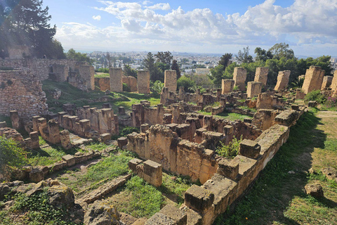 Excursión de un día a Cartago y Sidi Bou Said