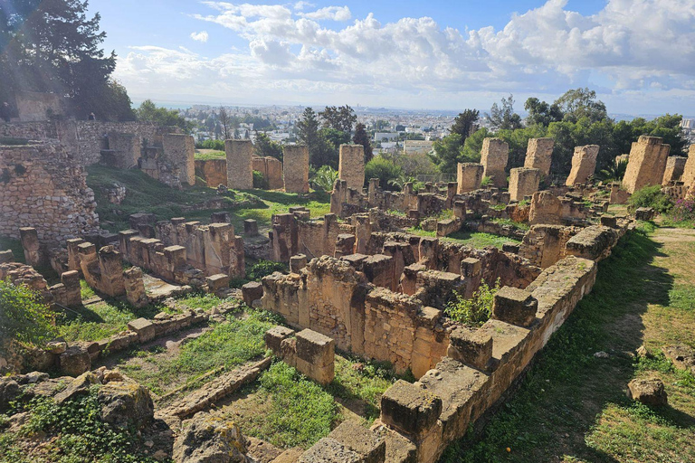 Excursión de un día a Cartago y Sidi Bou Said