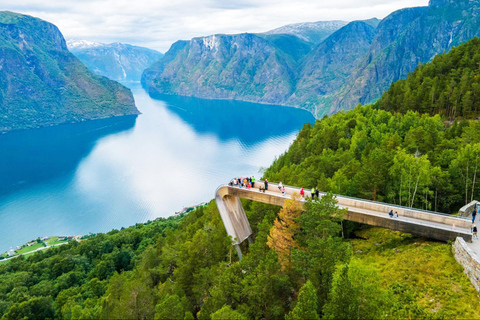 Private tour-Nærøyfjord Cruise Viking Village &amp; Flåm RailwayTour particular - Cruzeiro pelo Nærøyfjord, Vila Viking e Ferrovia Flåm