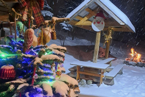 Zakopane – Torchlit ride on horse-drawn sleighs, specialty Zakopane – Torchlit ride on horse-drawn sleighs, specialties