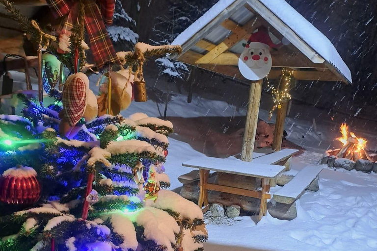 Zakopane – Torchlit ride on horse-drawn sleighs, specialty Zakopane – Torchlit ride on horse-drawn sleighs, specialties