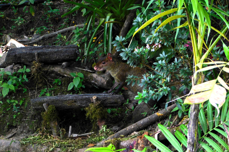 Santa Marta : randonnée de 2 jours au Cerro Kennedy avec un guide autochtone