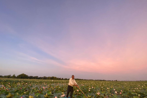 Siem Reap Lotus Silk Farm : Forfait complet avec 6 bricolages