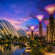 Singapore Night River Cruise, 2 Shows, Flower Dome and Cloud Forest Singapore Night River Cruise, 2 Shows, Flower Dome and Cloud Forest