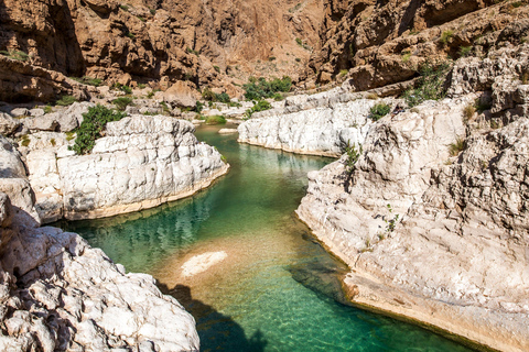 Full Day Group Tour in Wadi Shab