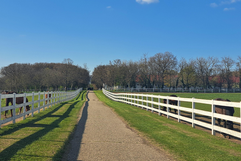 From Belgrade: Visit Subotica and stunning Zobnatica Stables