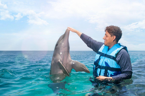 Cancun: Royal Garrafon Park Entry & Dolphin Encounter