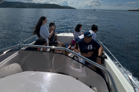 Azure Paradise: Blue Cave and Kotor Bay Boat Tour