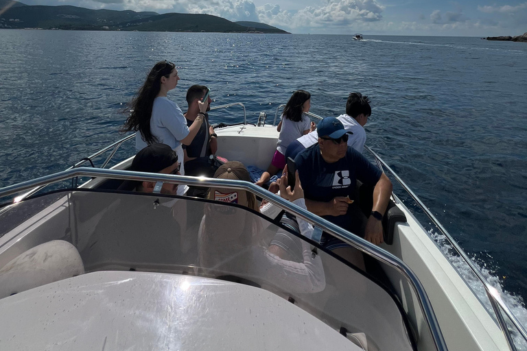 Azure Paradise : visite en bateau de la grotte bleue et de la baie de Kotor