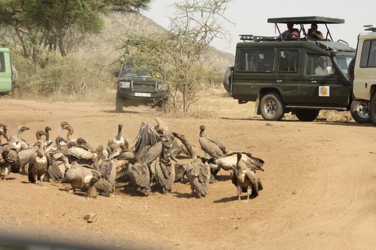 voyages à Murchison falls gorilles/jinja /Serengeti /massia