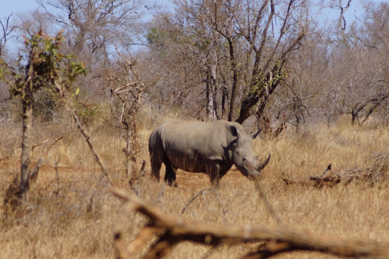 Safari w Kruger Park z Maputo