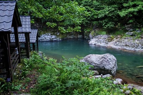 From Batumi: Mtirala National Park Private Tour with BBQ