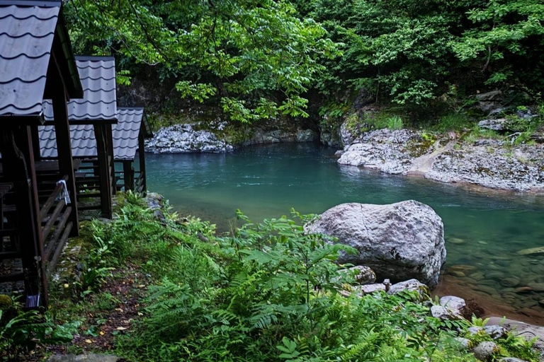 From Batumi: Mtirala National Park Private Tour with BBQ
