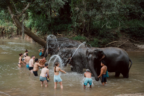 Chiang Mai: Elephant Sanctuary & Thai Cooking Workshop Meeting Point In Town