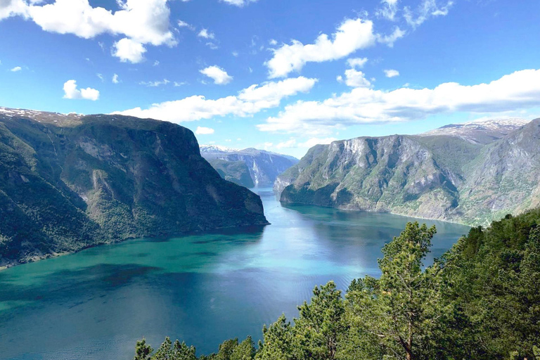 Tour guiado privado al Crucero por el Nærøyfjord de Oslo y al Ferrocarril de Flåm