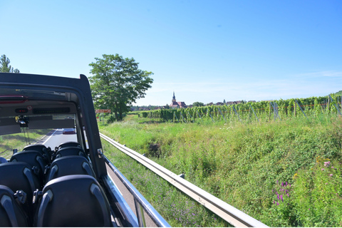 Alsace Wine Route: multi-stop convertible bus tour KUT'ZIG: April, May, June, October
