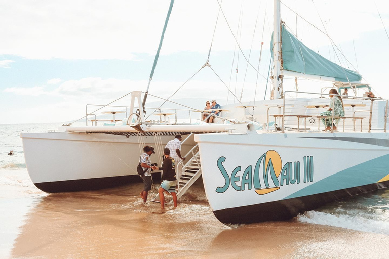 Ka'anapali Beach: Schnorcheln am Korallenriff und Schildkröten beobachten