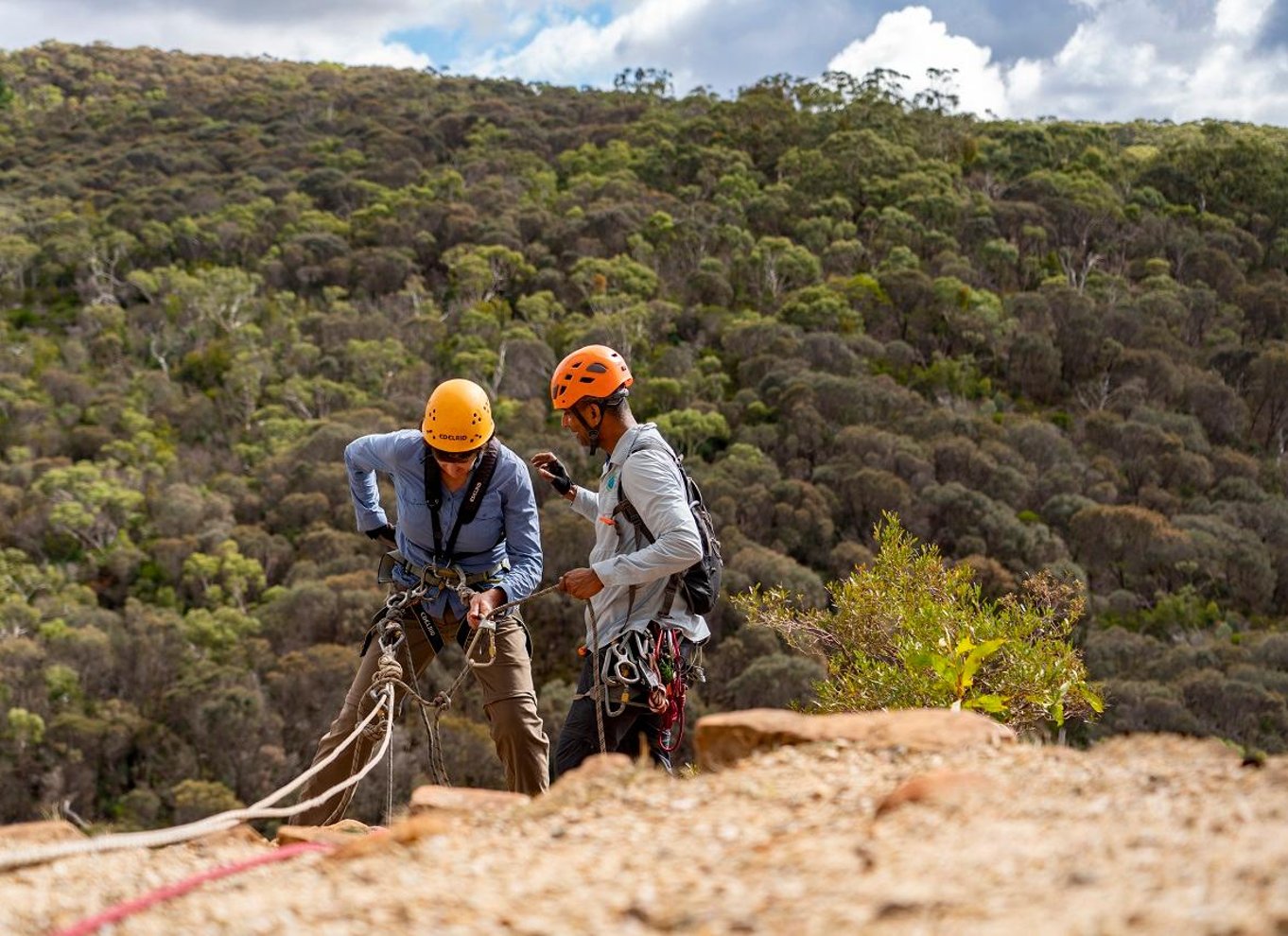Adelaide: Klatring og abseil i Onkaparinga National Park