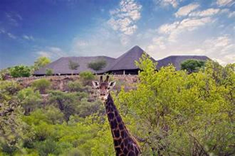 Gaborone: City Tour, Game Drive & Boat Cruise