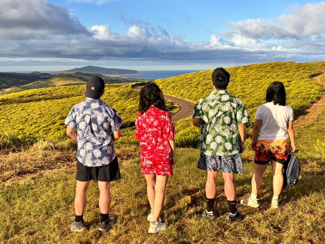 Rapa Nui: 3 archäologische Ausflüge mit Hoteltransfer.