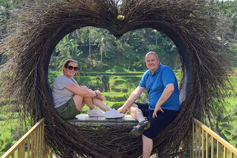 乌布猴林、梯田、秋千、寺庙和瀑布乌布猴林、水稻梯田、秋千、寺庙和瀑布