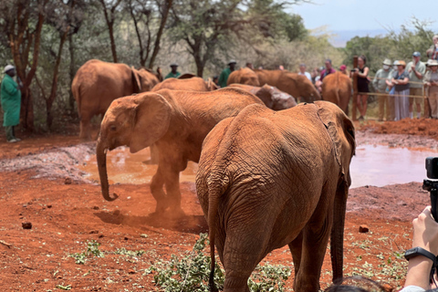 Parque Nacional de Nairóbi, Elephant Trust e Giraffe Center