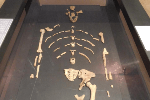 Addis Ababa Layover: Museums, Merkato, Walk & Coffee Tour