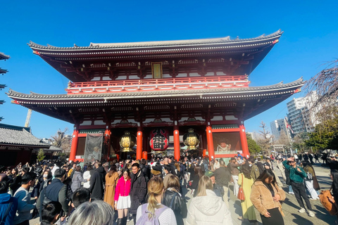 Tokyo Luxury Private City Tour Customizable with Guide