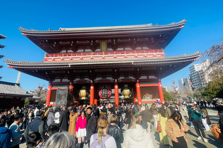 Tokyo Luxury Private City Tour Customizable with Guide