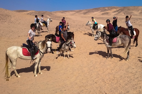 From Hurghada: Makadi Bay Horse Riding Tour