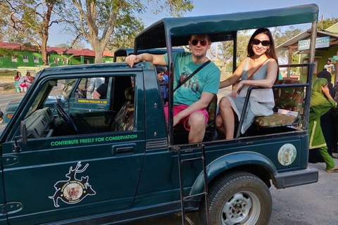 Bangalore: Bandipur Safari, Bird sanctuary & Mysore Palace